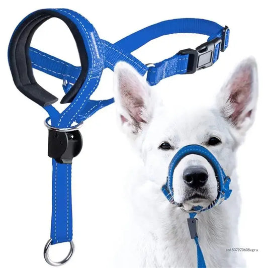 Training Collar