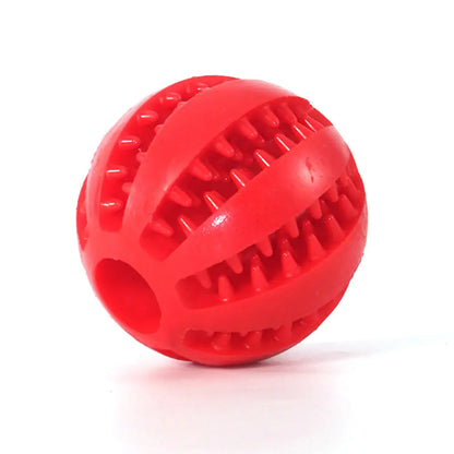 Interactive Toy Balls